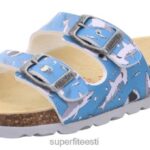 Superfit väikelapsed fussbettpantoffel - pandlaga suss 6TFB8574 sussid sinine/mitmevärviline